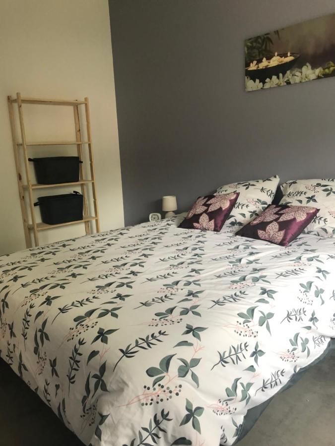Appartement A Tarascon Sur Ariege Le Sabart ภายนอก รูปภาพ