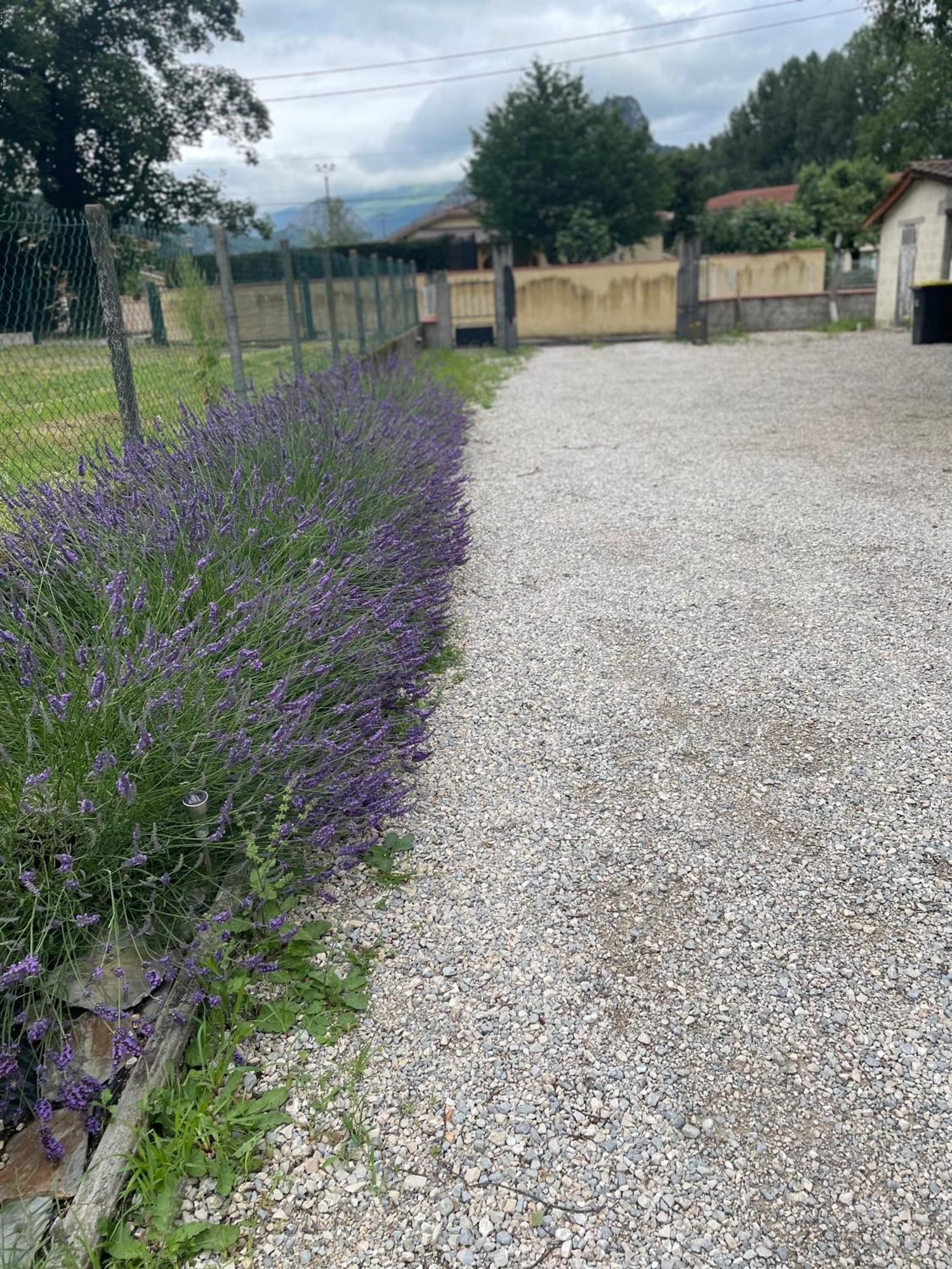 Appartement A Tarascon Sur Ariege Le Sabart ภายนอก รูปภาพ